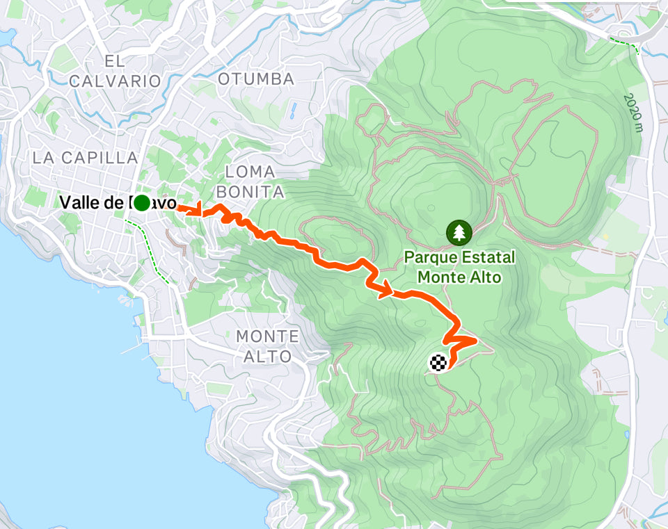 Caminata hasta el embarcadero de 'Torre'
