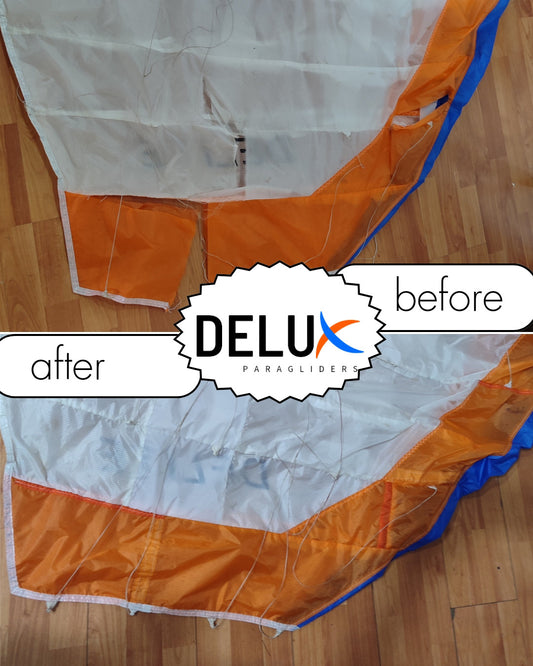 Delux Repair